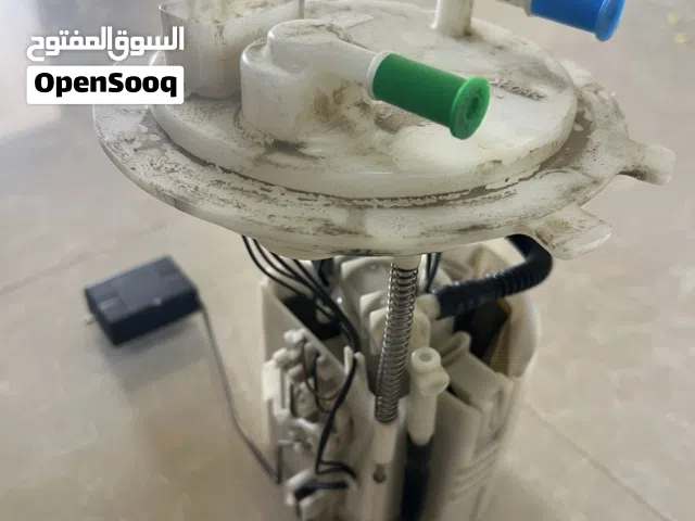 اغراض التيما من 19 فوق المديل الجديد