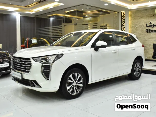 2024 هافال جوليون