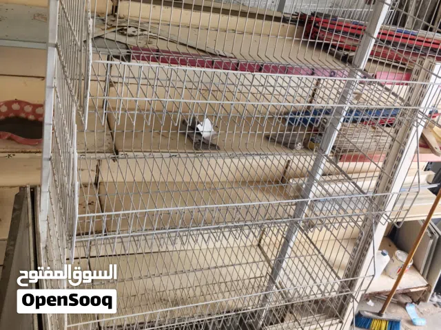 ستاندات شبس للبيع