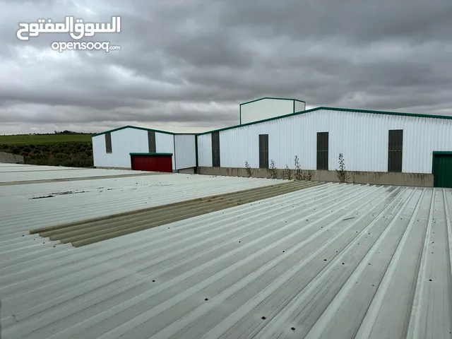 مصنع فحم اراجيل مساحة 10 دونم للبيع صناعات متوسطة مادبا