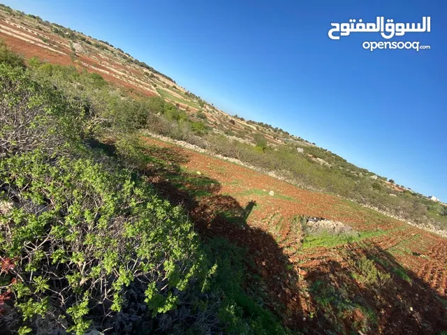 Farm Land for Sale in Ajloun I'bbeen