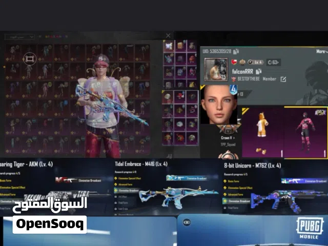 حساب ببجي نسخه العالميه
