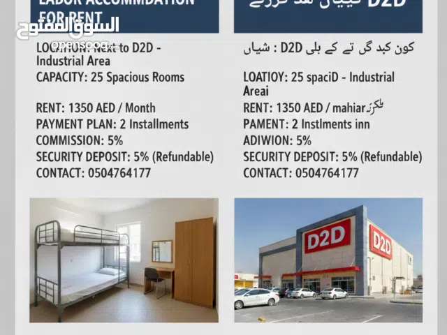 لیبر ہاؤسنگ کرایے کے لیے دستیاب ہے