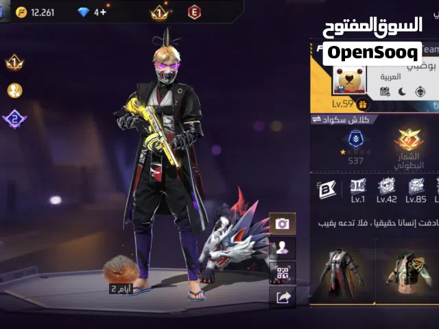 Free Fire Accounts and Characters for Sale in Ras Al Khaimah