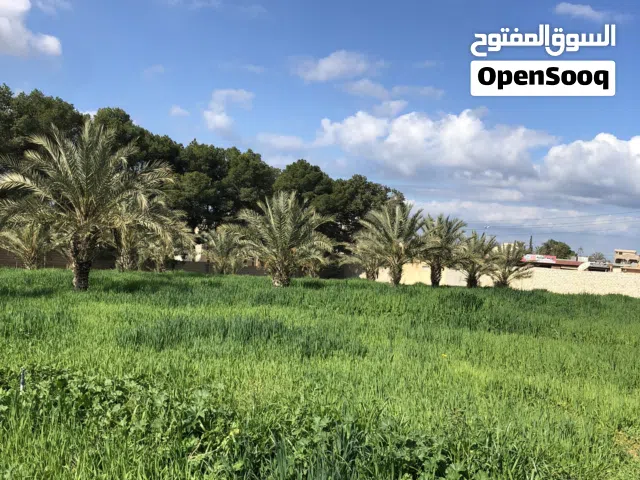 قطعة ارض تجاريه تبعد عن الساحلي اقل من خمسين متر