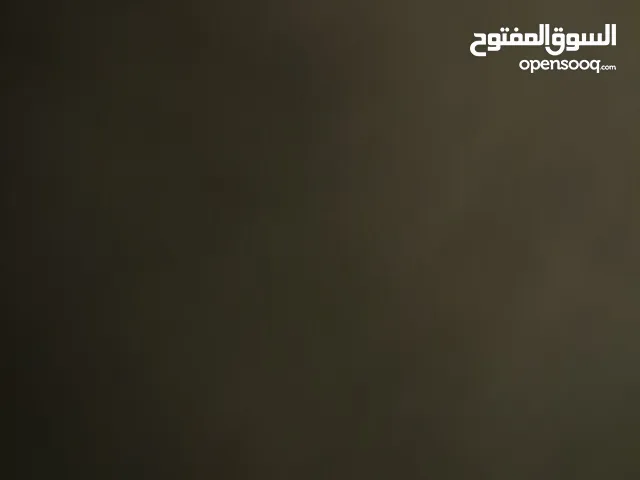 مطلوب ذكر سامويد بيور للتزاوج مع انثى سامويد شرط يكون معاه شهادة مطاعيم و نظيف و خالي من الامراض