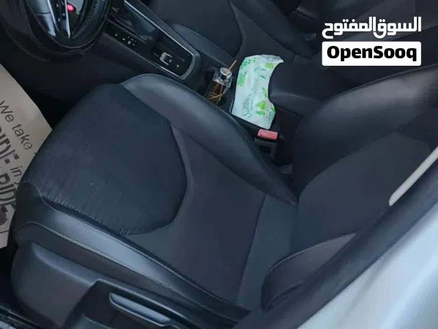 2017, سيات, ليون, Standard