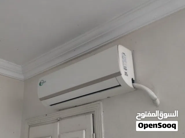 Other  AC in Tanta