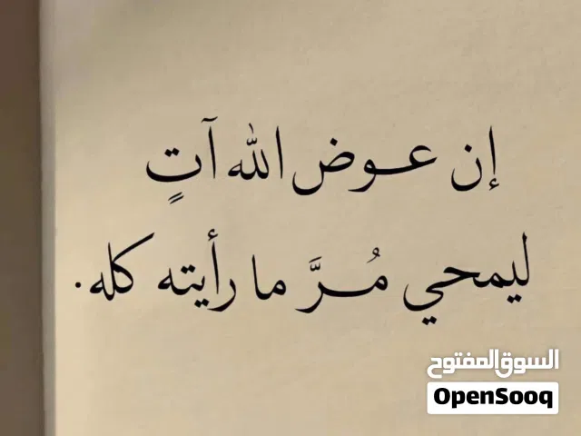 مطلوب بيت او شقه للايجار مطبخ مفتوح عالصال