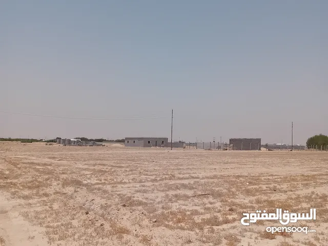 Farm Land for Sale in Basra Khor Al Zubair