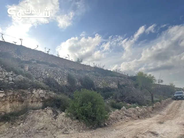 Residential Land for Sale in Hebron Halhul