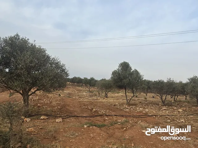 هكتار للبيع