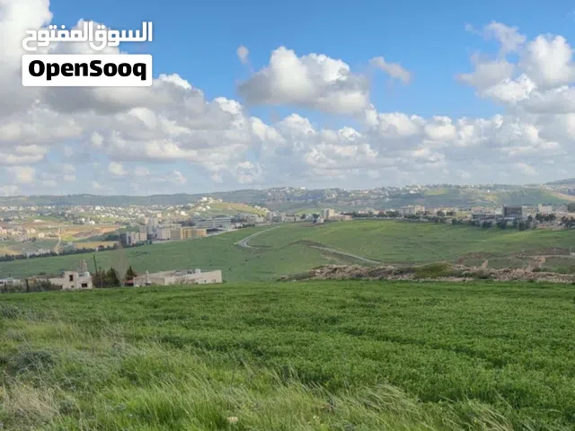 Residential Land for Sale in Salt Al Saro