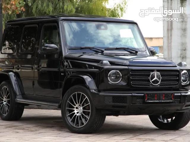 2019, Mercedes Benz, G-Class, G 500