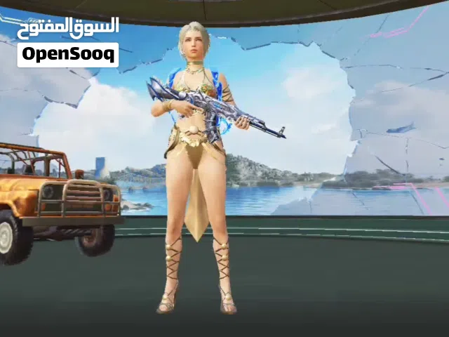 Pubg Accounts and Characters for Sale in Ramtha