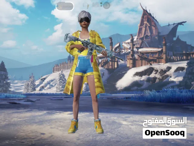 Pubg Accounts and Characters for Sale in Irbid