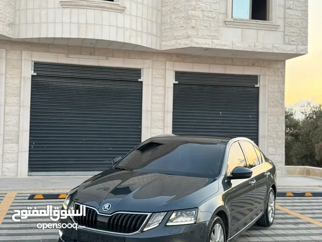 سكودا اوكتافيا ترخيص 19