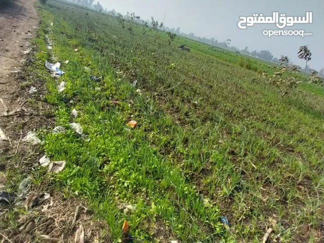 Farm Land for Sale in Qalubia Banha
