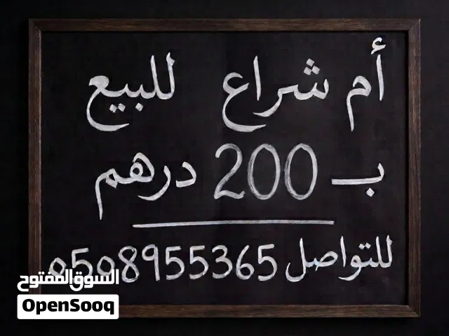 دراجة ام شراع دايو 1 (250cc) نظيفة جداً بـ 200 درهم فقط! .............