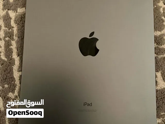 Apple iPad Pro 11 256 GB in Amman