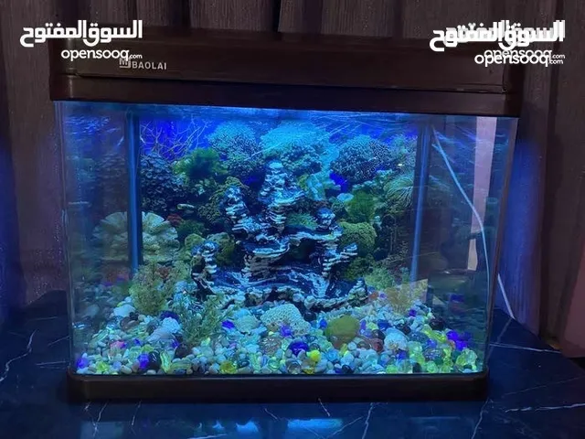 حوض للأسماك بحاله ممتازة مع مستلزماته وفلتر با 30 د.ك فقط