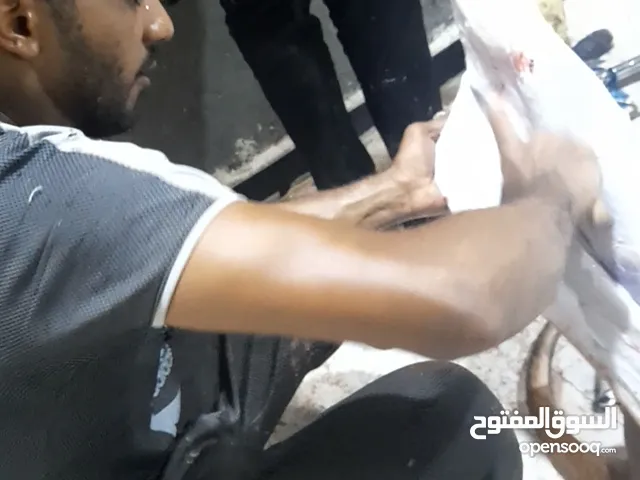 ذبح الذبائح جزارة ذبح وصلخ وتقطيع الخراف والماعز والأبقار والجاموس والابل والنعام