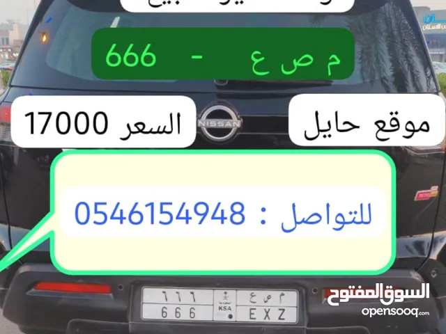 لوحه مميزه للبيع آخر سوم وصل