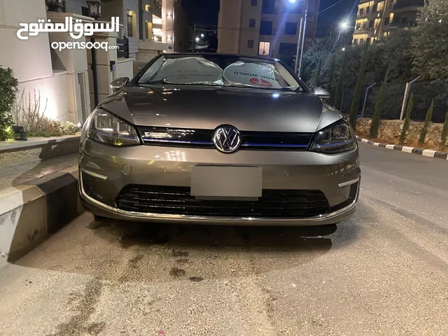 Egolf premium model ((2015))
