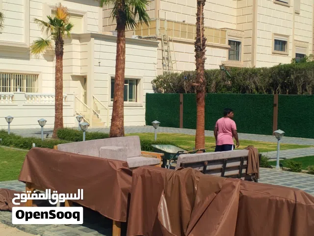 زراع الحوازي ابوحسين الكعبي   نخل