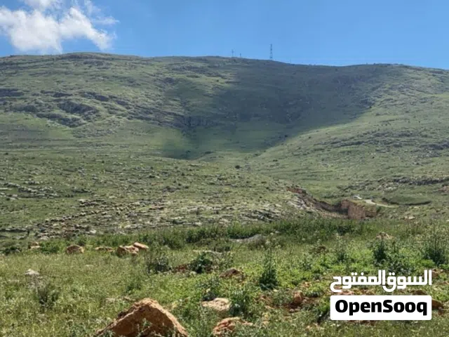 Mixed Use Land for Sale in Nablus Al-Bathan