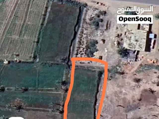 Farm Land for Sale in Damietta New Damietta