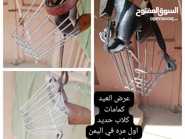 كمامات حق كلاب جرمن