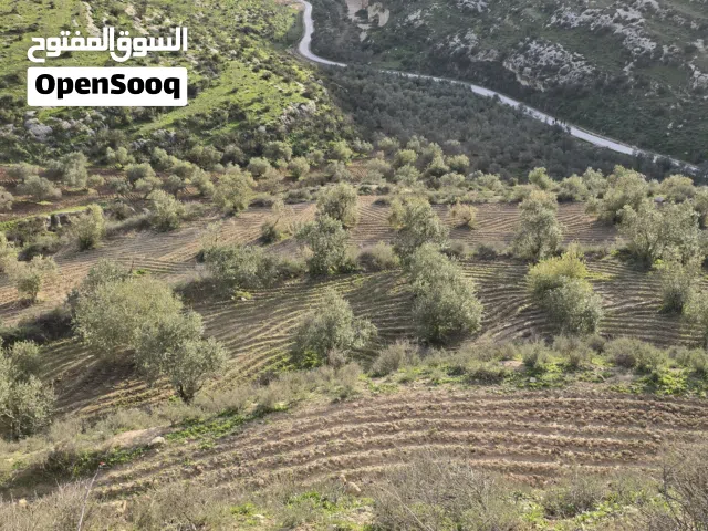 أرض زراعيه للبيع - بني كنانه
