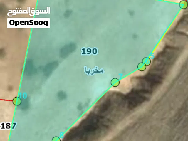 أرض للبيع ثلاث دونمات و 812 متر في منطقة المنشيه الاغوار الشماليه اسم الحوض تل السيروان