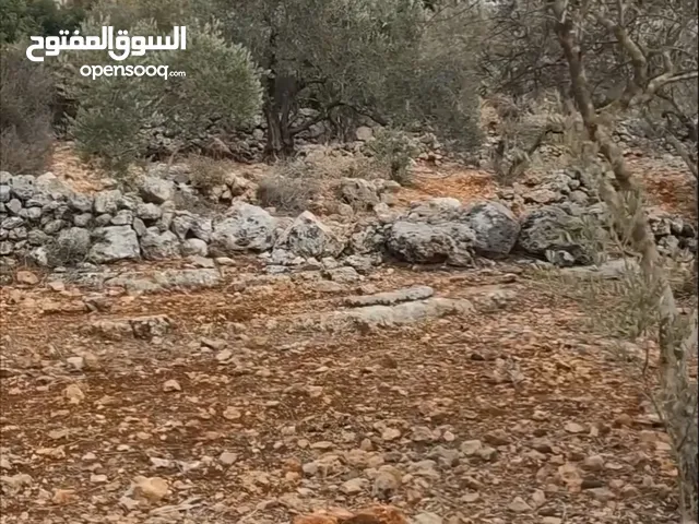 Mixed Use Land for Sale in Salfit Bruqin