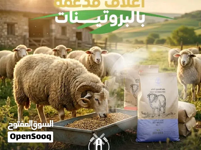 أعلاف الضاحية