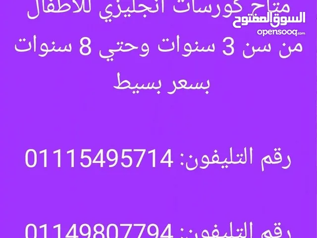 English Teacher in Cairo