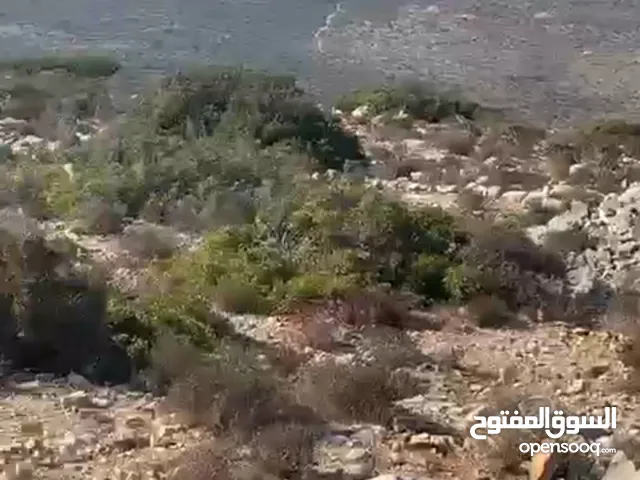 Residential Land for Sale in Ramallah and Al-Bireh Jifna