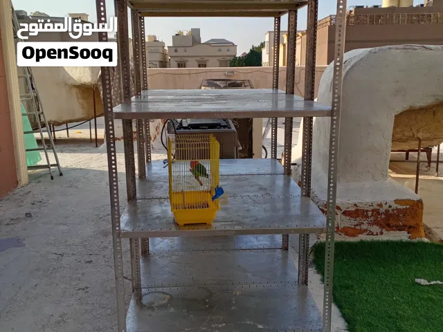 ارفف 3 جداد فصال