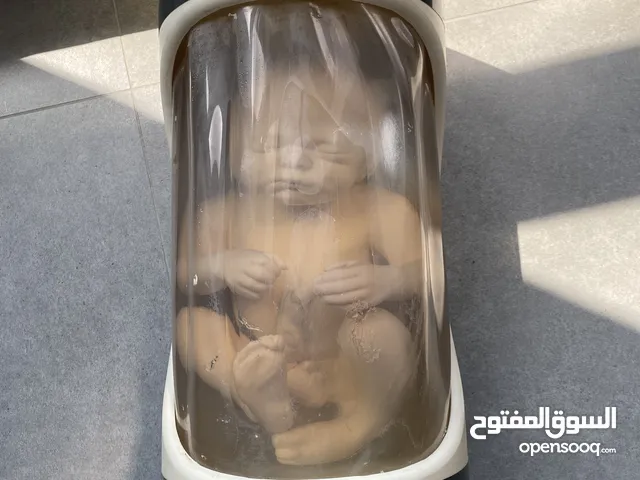 فانتوم طبي للتدريب على الالتراساوند عمر 36 اسبوع شركة كريس الامريكيه