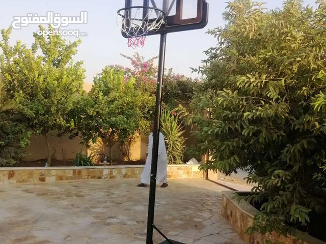 ستاند للعب كرة السلة الاصلي ضد الكسر مقاس كبير