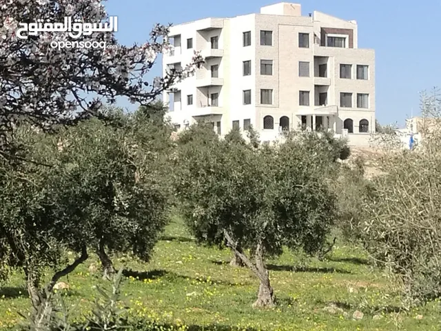 110m2 1 Bedroom Apartments for Rent in Amman Shafa Badran