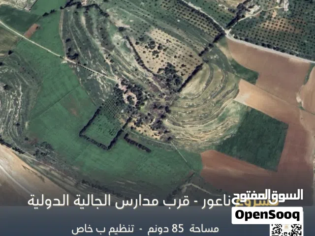 Residential Land for Sale in Amman Naour