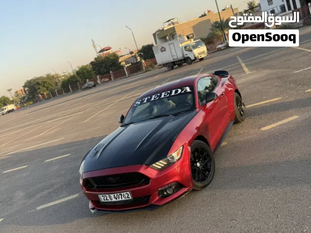 موستنك 16 خليجي