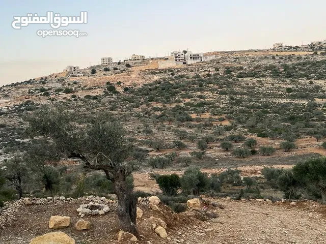 Mixed Use Land for Sale in Ramallah and Al-Bireh Kaubar