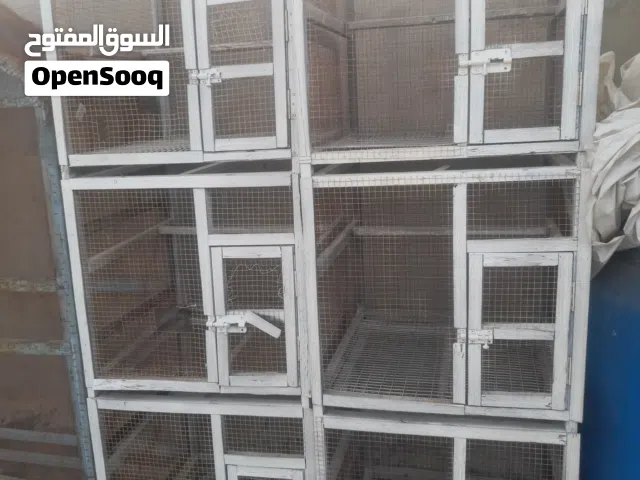 اقفاص طيور حب بلابل غنادير بغباء
