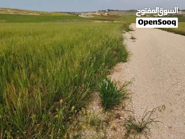 قطع اراضي للبيع في مادبا