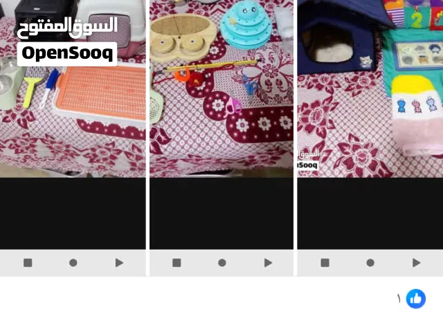 اكسسوارات قطط للبيع بسعر مغري