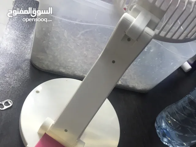 للبيع فرخ دره اليف شوف وصف مهمممم لا يوجد توصيل ولا نقل ههه دفع عند استلام نينني