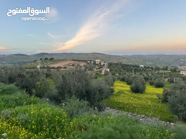 Farm Land for Sale in Zarqa Al-Alouk